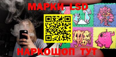 дурь Бердск