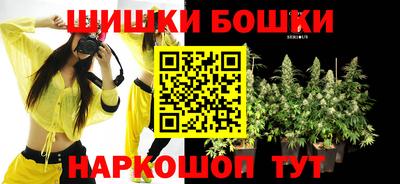 дурь Бердск