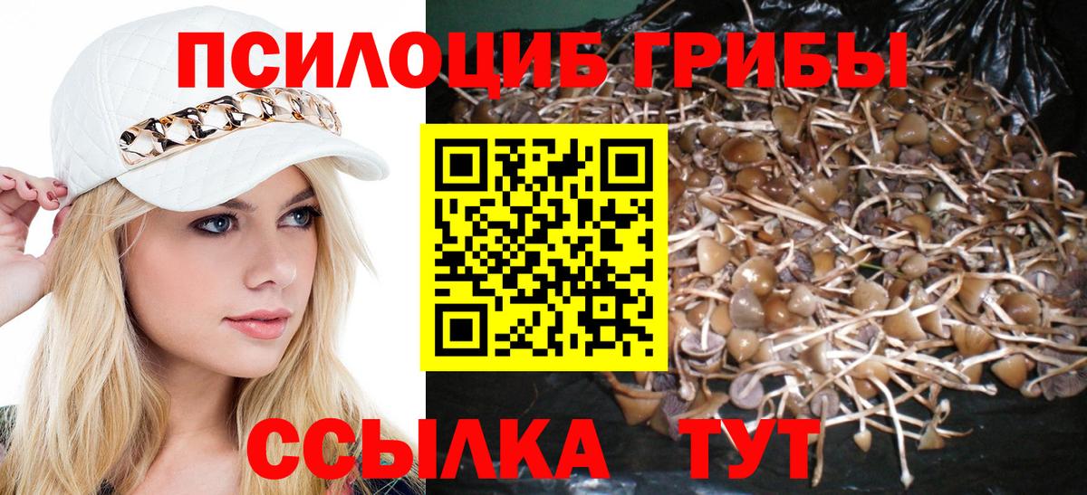 Галлюциногенные грибы Magic Shrooms Верхняя Пышма